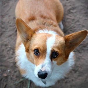 Meet your Posher, Katrina